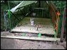 bridge_tcm_007