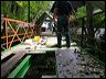 bridge_tcm_012