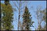 2007_04_0003