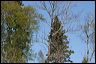 2007_04_0004
