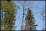 2007_04_0005