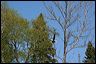 2007_04_0006