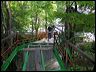 bridge_tcm_016