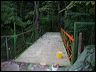 bridge_tcm_019