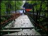 bridge_tcm_021