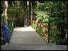bridge_tcm_023