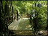 bridge_tcm_024