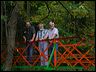 bridge_tcm_026