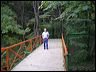 bridge_tcm_027