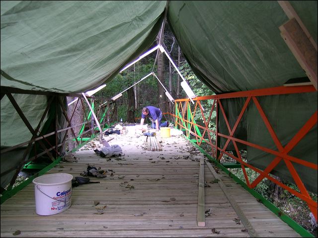 bridge_tcm_011.jpg