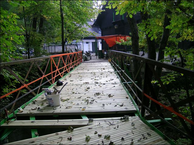 bridge_tcm_021.jpg
