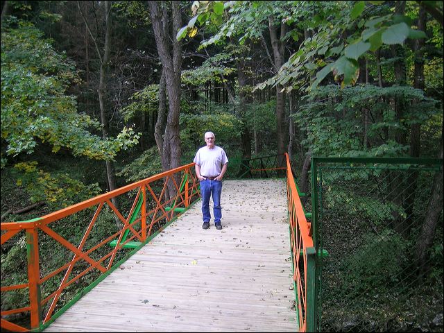 bridge_tcm_027.jpg