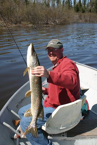 img_2174.jpg