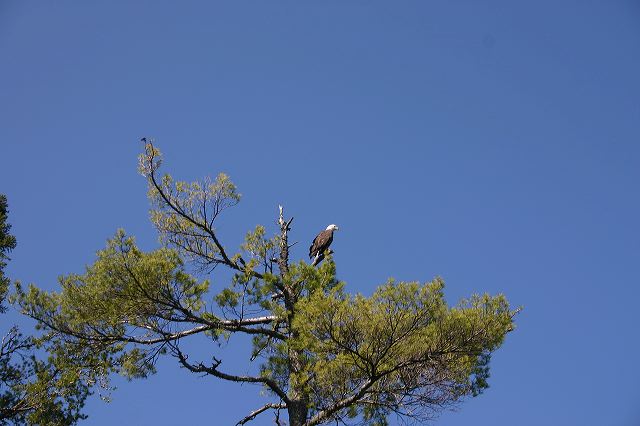 img_2240.jpg